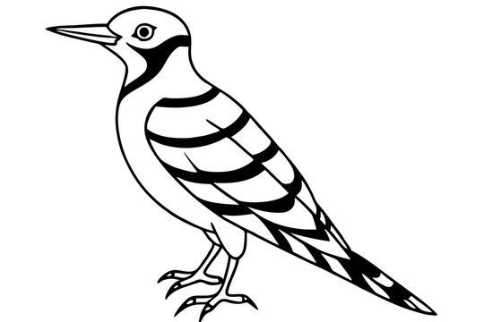 recommend clip art: Fulvous breasted woodpecker  line art