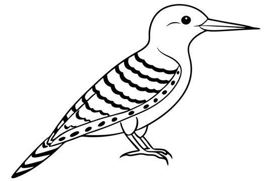 recommend clip art: Fulvous breasted woodpecker  line art