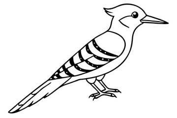 Fulvous breasted woodpecker  line art