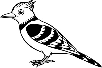 Fulvous breasted woodpecker silhouette vector illustration 
