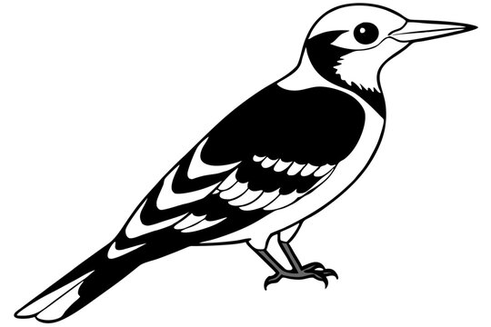 recommend clip art: Fulvous breasted woodpecker silhouette vector illustration 
                    