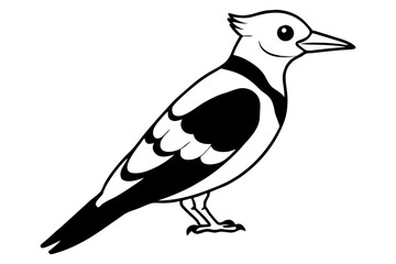 Fulvous breasted woodpecker silhouette vector illustration 

