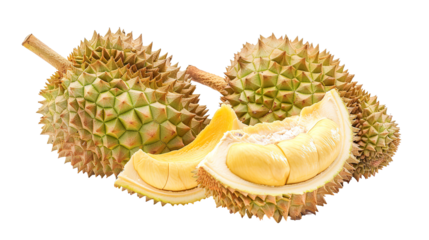 Durian isolated on transparent background, PNG