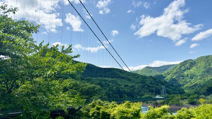 もみじ谷大吊橋　深緑　初夏