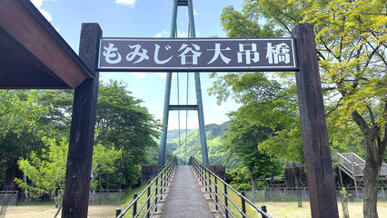 もみじ谷大吊橋　深緑　初夏