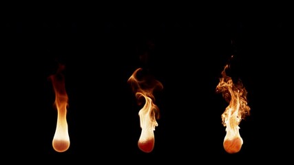 3D animation set of three types of burning fire flames. The file contains Alpha Channel. Each fire flame has different settings of burning and movement, from calm to active.