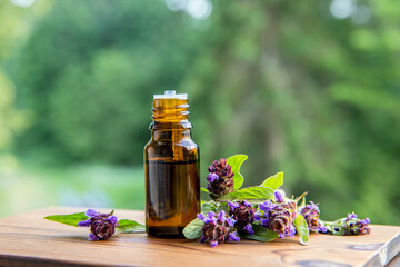 Prunella vulgaris known as common self-heal, heal-all, woundwort, heart-of-the-earth, carpenter's herb, brownwort and blue curls herbal tincture in bottle with fresh blossoms.