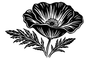 California Poppy flower silhouette isolated on a white background 
