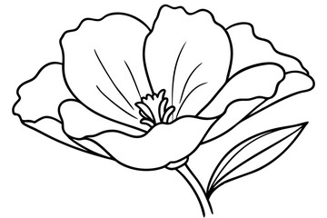 California Poppy flower line art