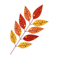 Obraz premium Draw illustration autumn leaves For fall autumn season concept flat style. White background