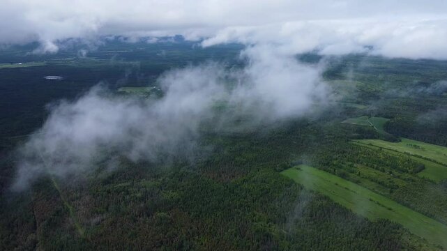Vol de drone a haute altitude au travers un ciel nuageux laissant percevoir une for&ecirc;t verdoyante et quelques champs cultiv&eacute;s. 