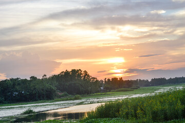 Fototapeta premium sunset over the rainforest, the beauty sunset, Sun in the Sky, beautiful eveing time view, Sunset on the filds of the Bangladesh.