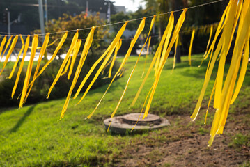 Installation of yellow ribbons in a park, tied between trees as a symbol advocating for the return...