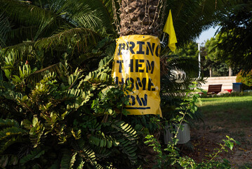 “Bring them home now” Installation of yellow ribbons in park, tied between trees as a symbol advocating for the return of hostages and raising awareness for those who are missing or held captive.