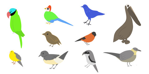 Set of  birds. Vector cartoon illustration in childish style. Different birds. Images are isolated on white. 