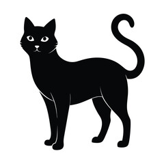 black cat silhouette style with white background