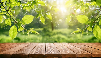 Spring or summer background, wooden table, green leaves, rain drops. Product placement, natural scene