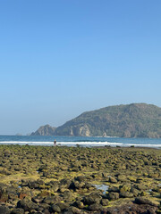 beachscape with wave and rock