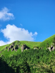 Landscape with blue sky. A green hill on a sunny day.
