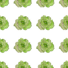 Green flower. Garden watercolor bud. Seamless pattern for your design