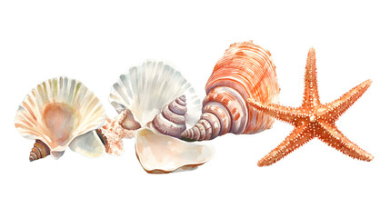 Obraz premium Watercolor Seashells and Starfish Collection