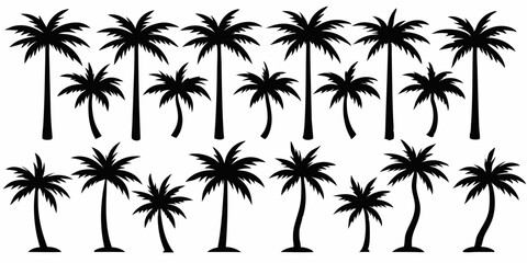 Tropical palm trees set silhouettes on white background 