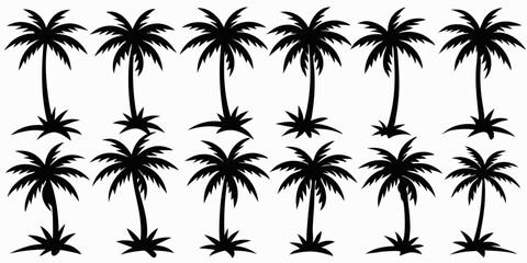 Tropical palm trees set silhouettes on white background 