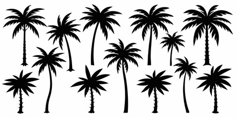 Fototapeta premium Tropical palm trees set silhouettes on white background 