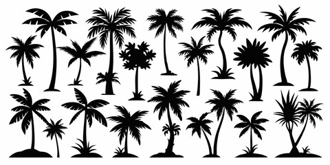 Fototapeta premium Tropical palm trees set silhouettes on white background 