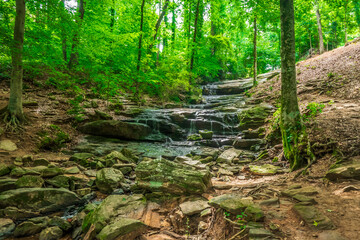 The flowing stream whispers the song of the earth, a melody of peace and renewal, Tucker, Georgia, United States of America