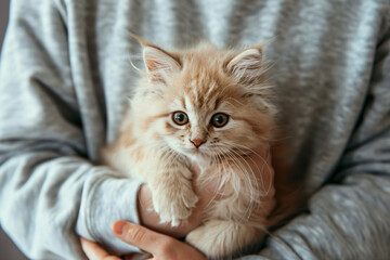 a person holding a small kitten in their hands