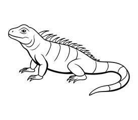 illustration of iguana