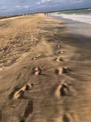 Footprints on the beach