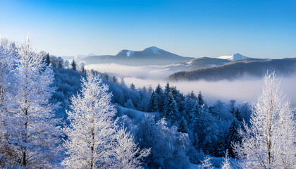 Winter landscape with frosty trees fog and a mountain view on a clear beautiful day