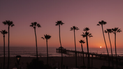 Palm trees and Pier on Manhattan Beach at sunset in California, Los Angeles, USA.