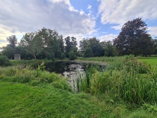 wilde Naturlandschaft mit Teich in Bad Doberan, Mecklenburg - Vorpommern