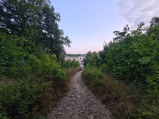 Naturpfad in der Abenddämmerung in einem Park in Bad Doberan, Mecklenburg - Vorpommern