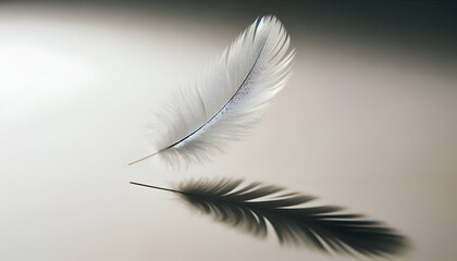 Floating Feather with Delicate Shadows