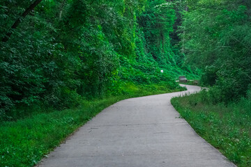 Every twist brings a new view to cherish, Trestle Rock Trail Pathway, Woodstock, Georgia, United States of America