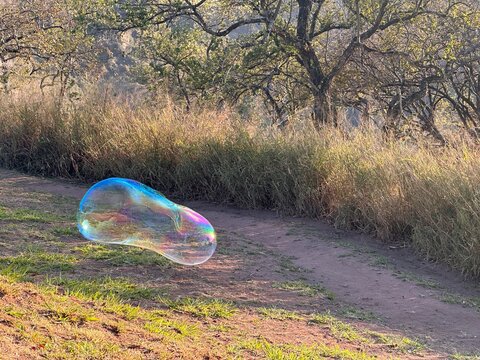 Bubbles
