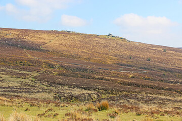 Obraz premium Hills of Dartmoor in Devon 