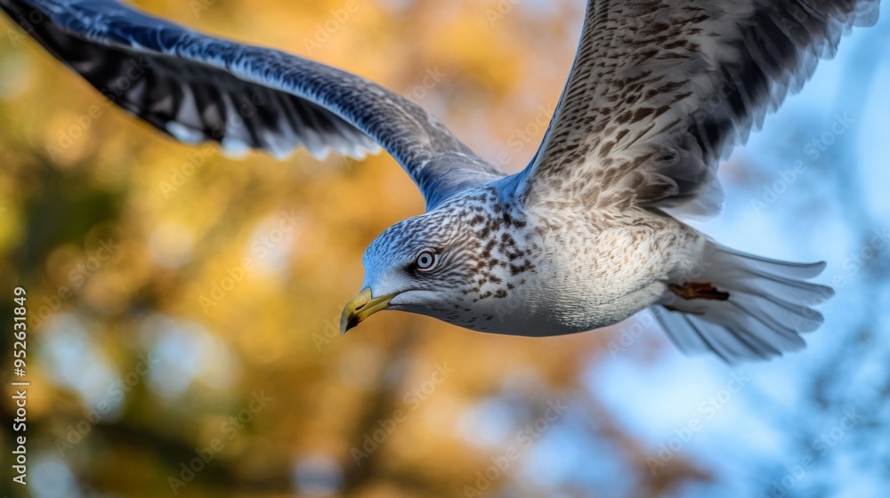 Poster Bird in mid-flight with a close-up view of its head and wings, set against a blurred background of trees or open sky for a dynamic shot.