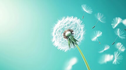 A beautiful dandelion puff releasing seeds into the gentle breeze, symbolizing nature's elegance and the cycle of life.