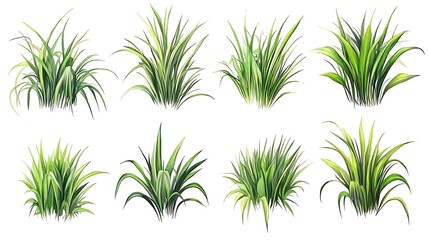  Hand-drawn set of blades of grass