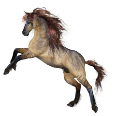 3D render of beautiful stallion flowing hair rising up illustration