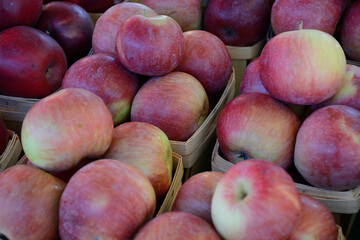 Apples at the Farmers Market