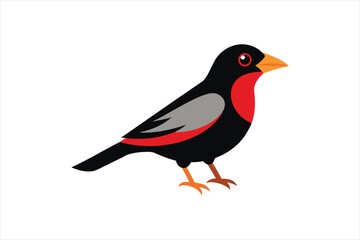 Obraz premium Grosbeak bird vector artwork illustration 