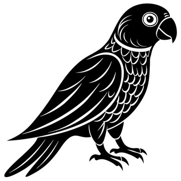 recommend clip art: Conure silhouette vector illustration