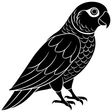 recommend clip art: Conure silhouette vector illustration