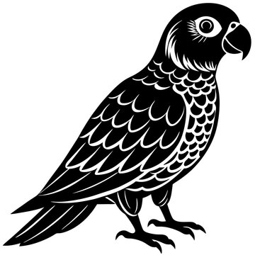 recommend clip art: Conure silhouette vector illustration
